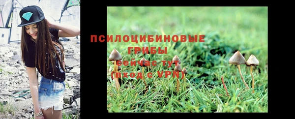 гашиш Аркадак